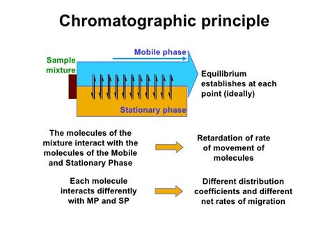 6.1: Basic Principles of Chromatography .